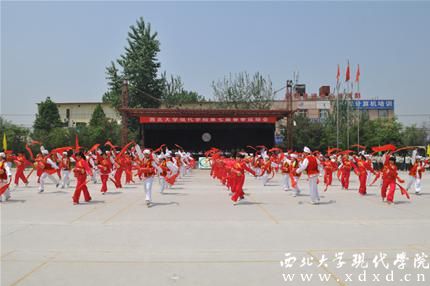 DƬ19.jpg