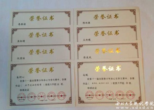 1 我校同學(xué)在第十一屆全國(guó)青少年冰心文學(xué)大賽中摘金奪銀.jpg